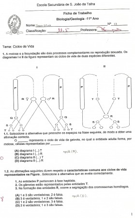 Ficha de avaliação sobre os ciclos de vida