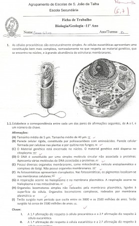 Ficha evolução da vida